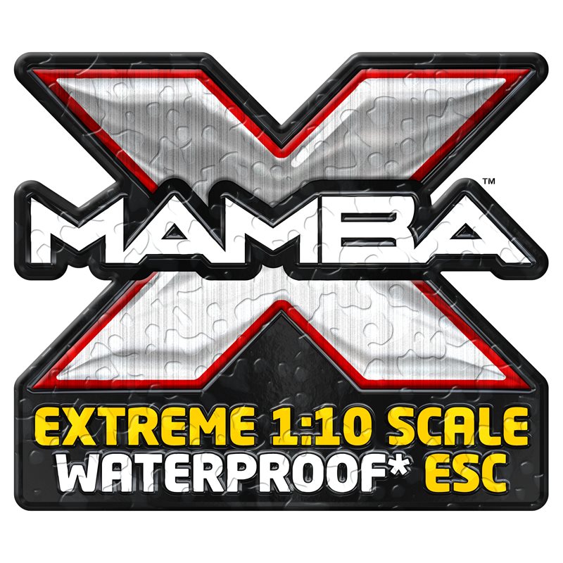 Mamba X